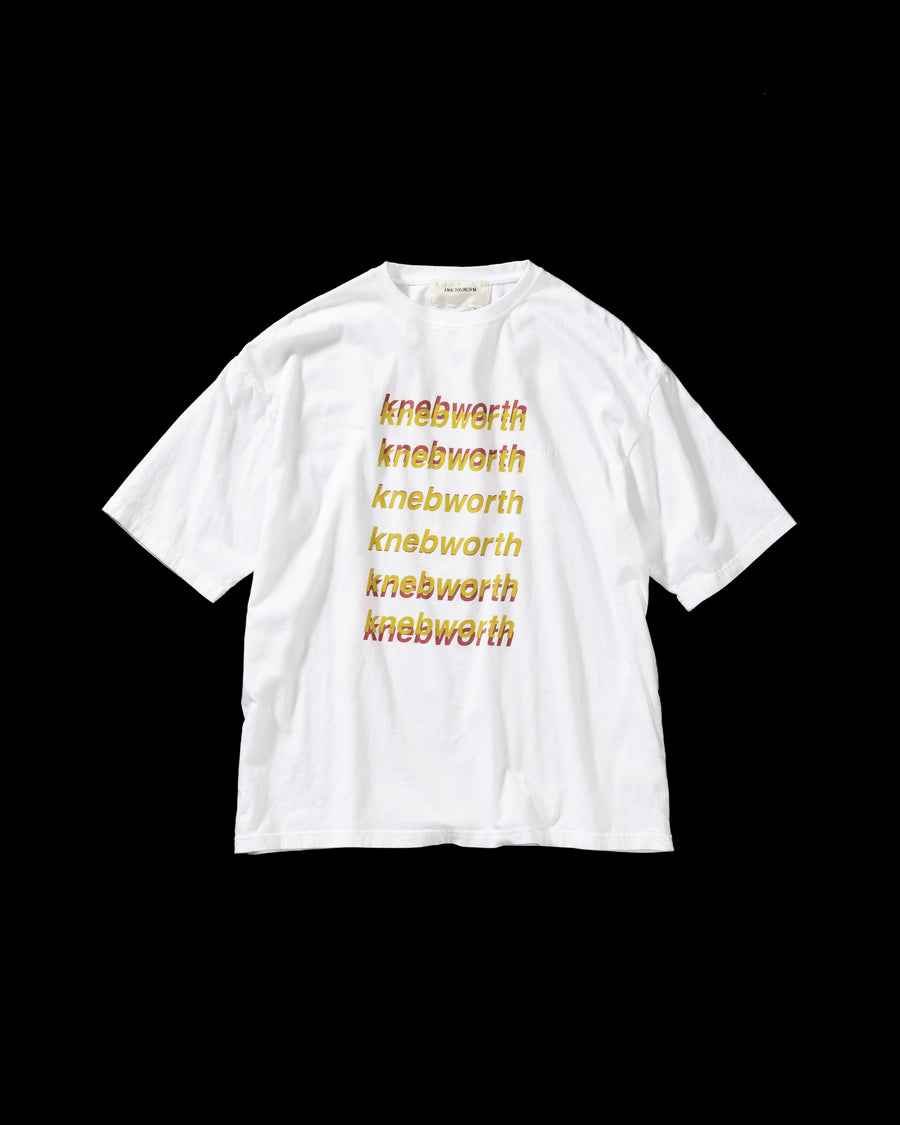 ANACHRONORM グラデーション プリント ショートスリーブTシャツ ホワイト | 5.6oz 天竺 ヘビーウェイト ワンウォッシュ グラデーションプリント 90sカルチャー